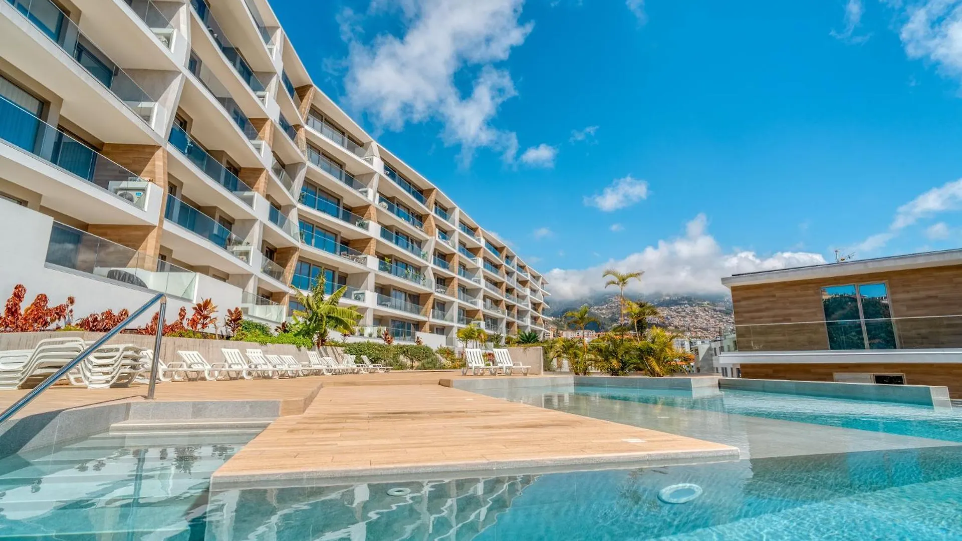 The Pink Palm Apartment Funchal